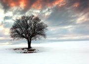 开云APP-迪亚斯魔幻现实，南美巫师如何用混沌足球冲垮英格兰精密机器