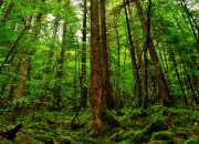 开云体育app-黄蜂之殇与丹佛风暴，安东尼·爱德华兹上演一役封神记