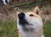 开云体育-布雷默一锤定音，突尼斯全面压制厄瓜多尔彰显统治力