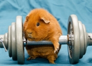 开云体育中国-欧洲足坛双星闪耀，雷恩碾压塞维利亚，劳塔罗主宰意甲焦点战