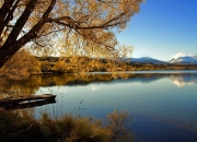 开云体育入口-悬崖上的胜利，快船逆转猛龙的东决奇迹