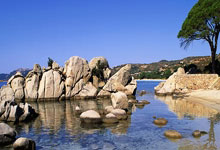 开云体育在线-戈贝尔之盾碾碎火箭五小，一场关于篮球哲学的胜利