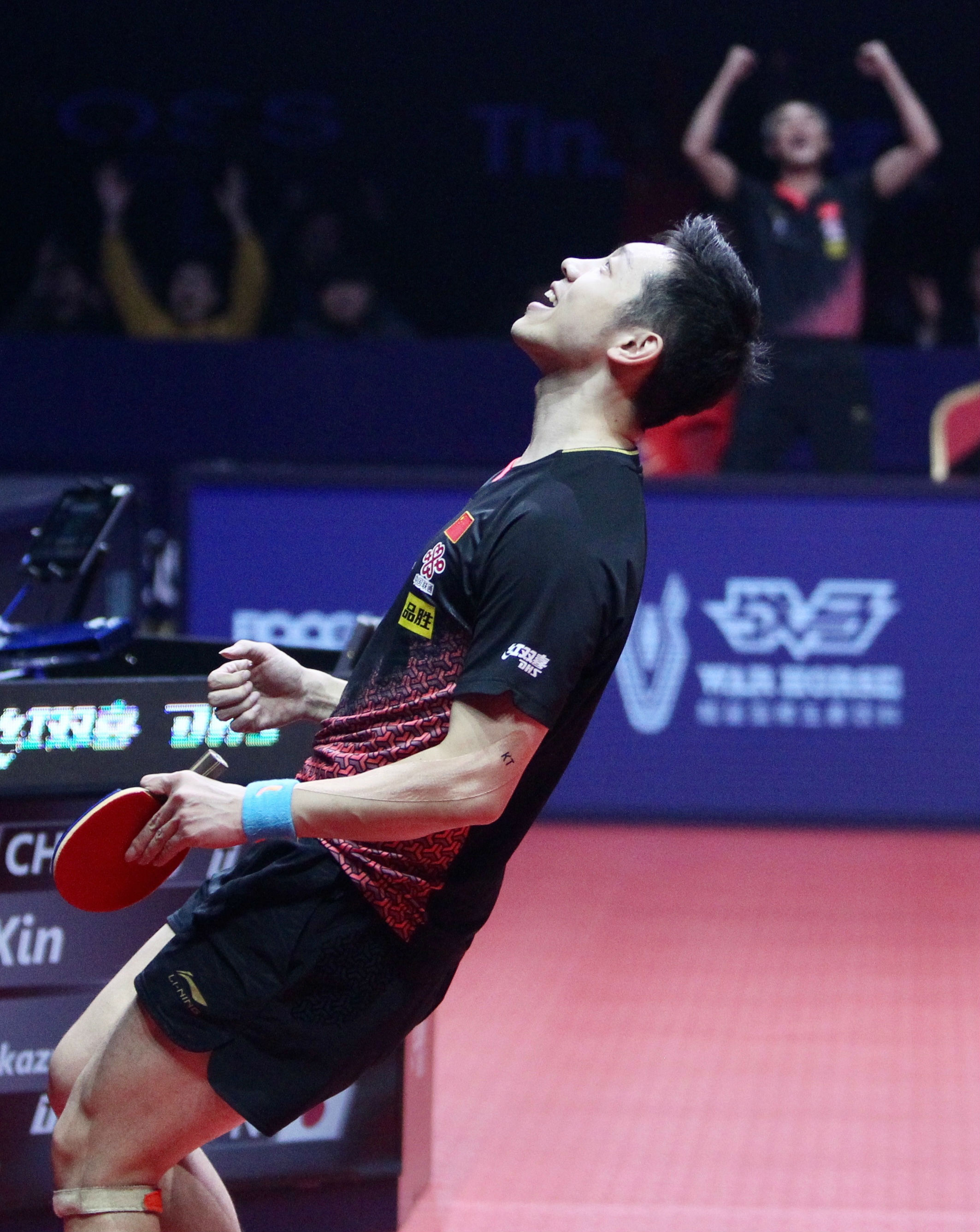 法国队力克波兰队,许昕高光表现 法国队力克波兰队,许昕高光表现