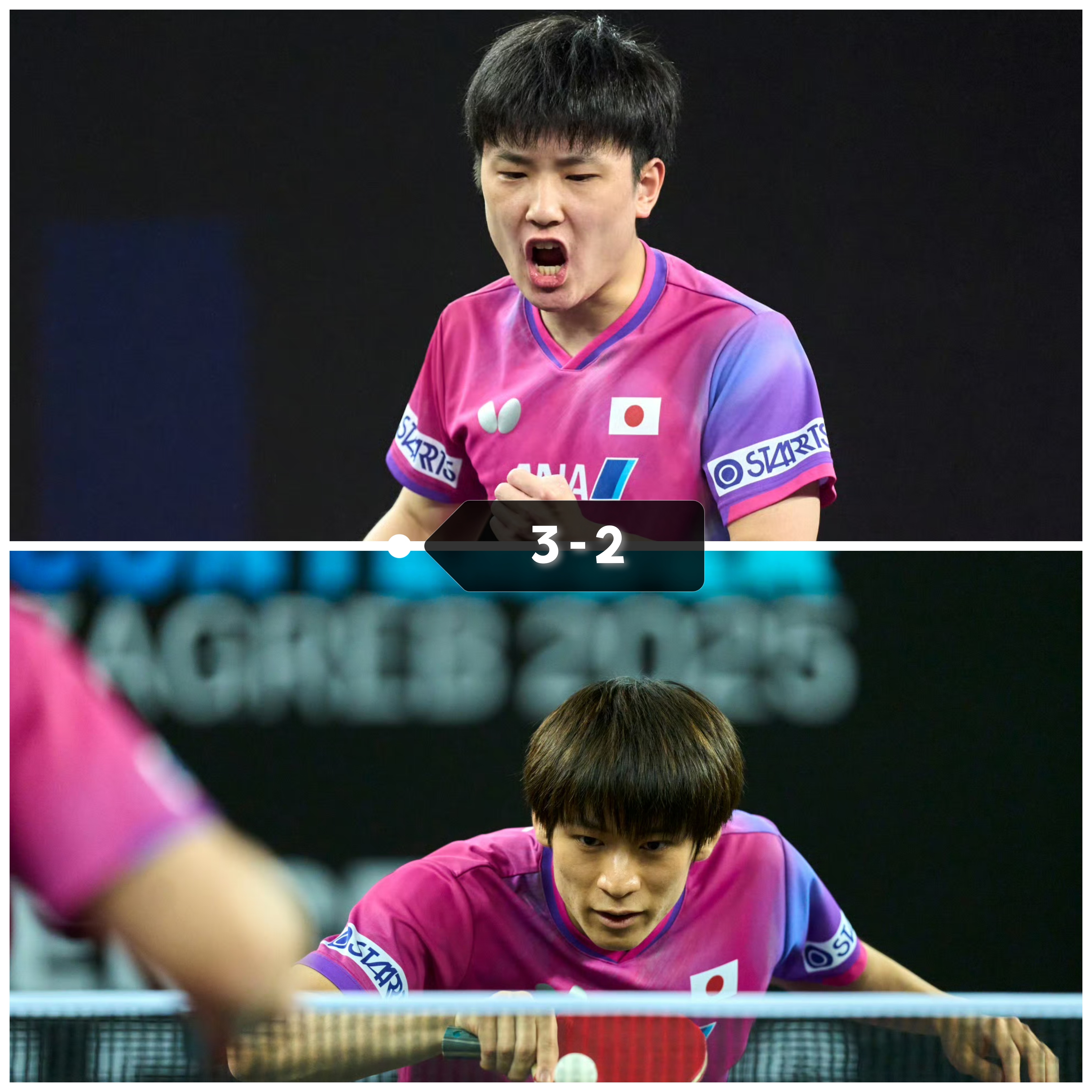 法国队轻取日本队,张本智和点燃赛场 法国队轻取日本队,张本智和点燃赛场