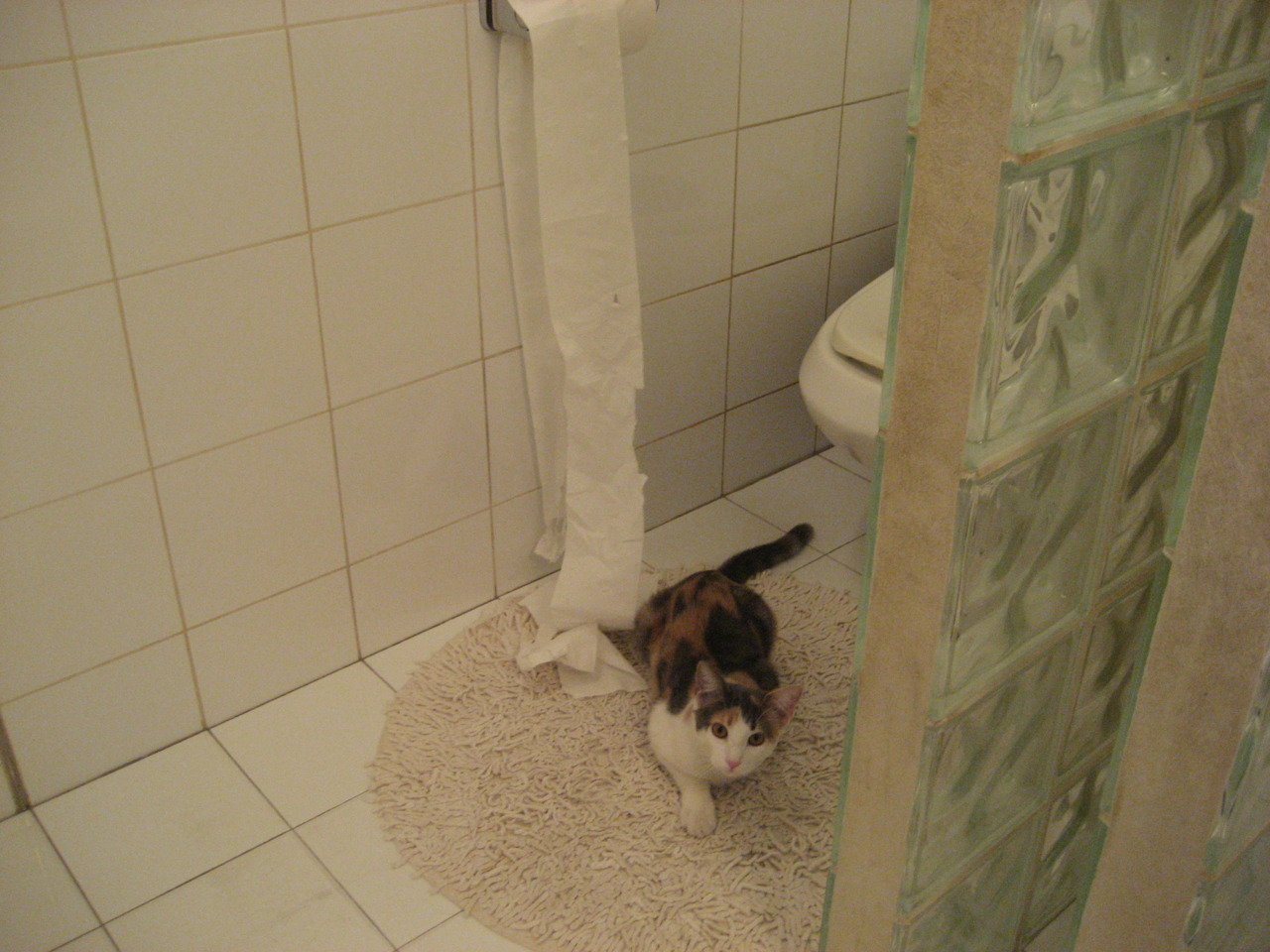 越界猎杀,当西亚卡姆的利刃刺穿麦迪逊的夜晚