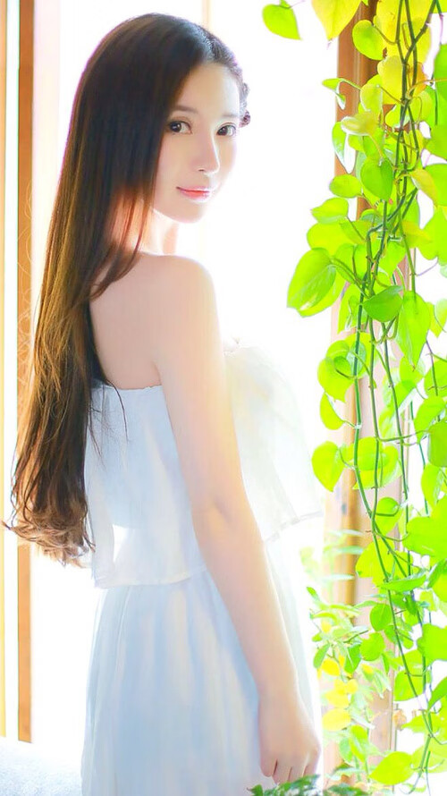 亚平宁的黄昏，布雷默的教科书防线与蓝白军团在意大利土地上的加冕