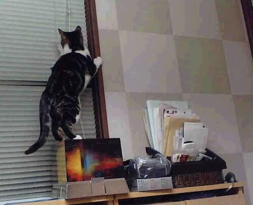 赛道弯道与绿茵时刻，当维尼修斯在节点连续得分时，我们窥见了什么？