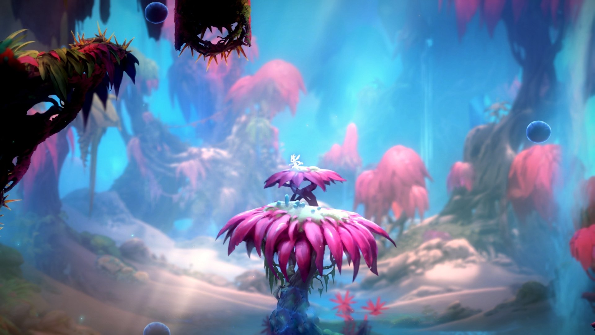 当7秒进攻遇见库有引力,新疆队与太阳队的库里困境