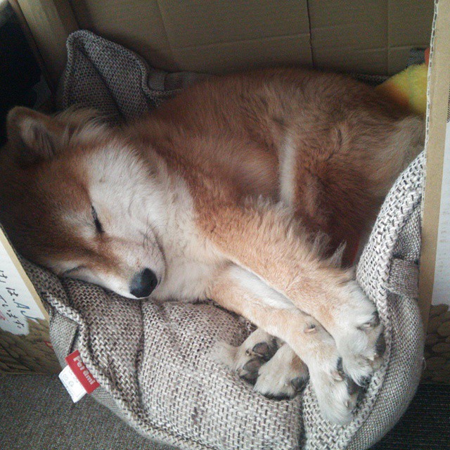 跨越沙漠的加时赛，卡塔尔如何抢七晋级巴黎