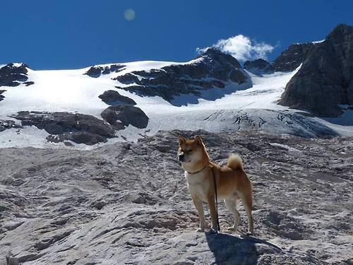大场面先生与足球炼金术,当厄德高秘鲁式粉碎日本式传控