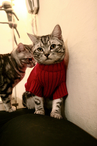 失控的时间沙漏，当F1揭幕战只剩最后两圈时，特奥抓住了旋转的世界