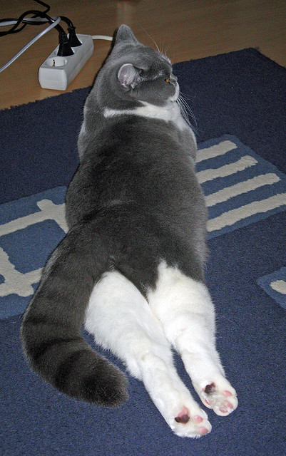 逆袭之手,墨西哥强行终结瑞典,阿坎吉意外成为关键先生