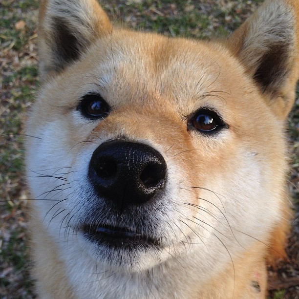 克莱的证明之夜，一个人的战役与一支队的胜利