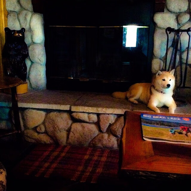 撒哈拉烈日对决高地寒风，当凯恩的简约利刃刺穿百年铁血