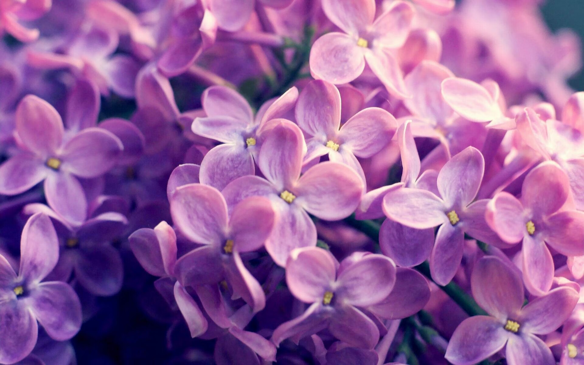 唯一性之战，2026世界杯焦点战中森林狼逆袭马刺