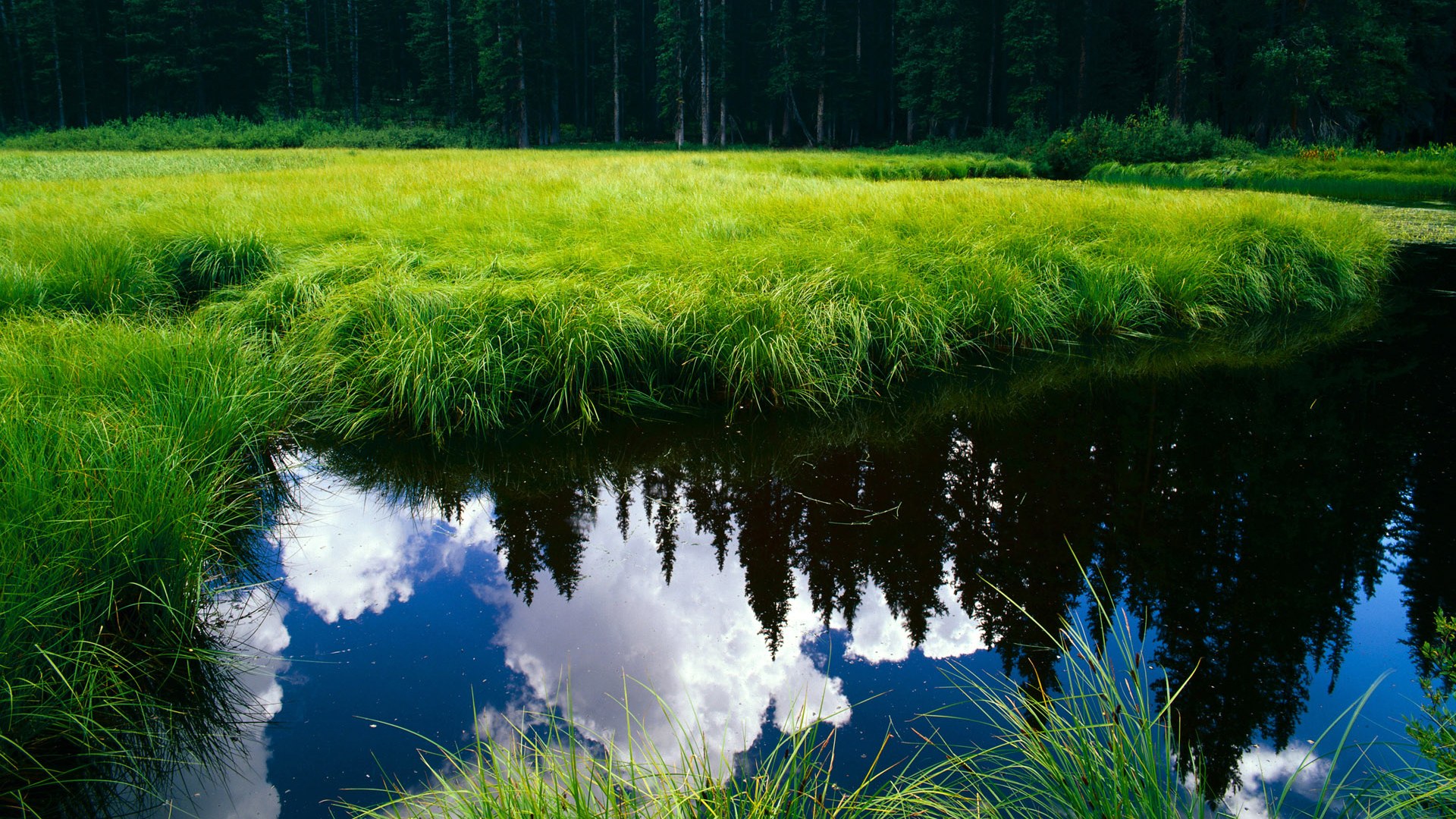 扩展方案（选一即可）