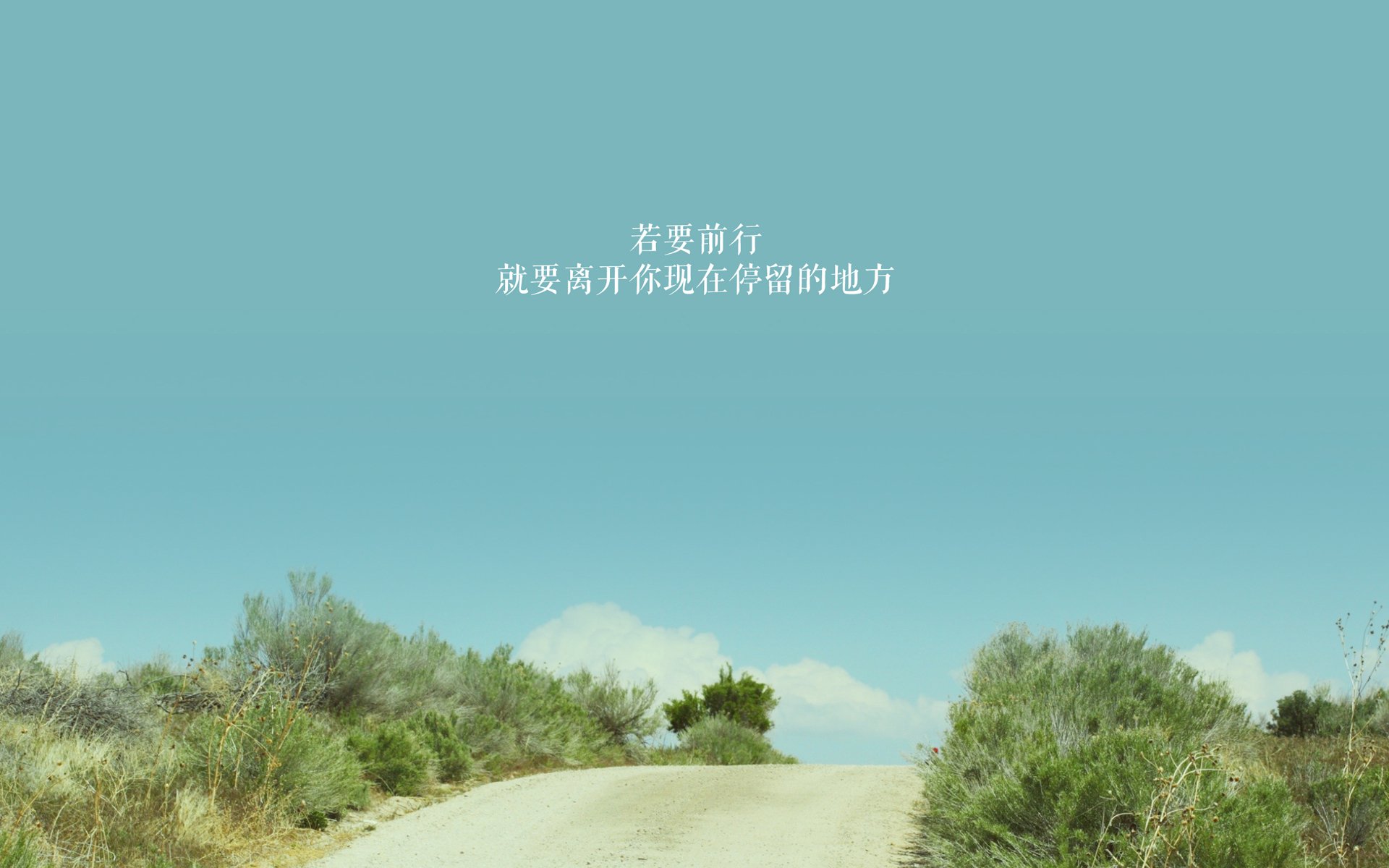 防守的真空,当东契奇将篮球场变成他的私人画布