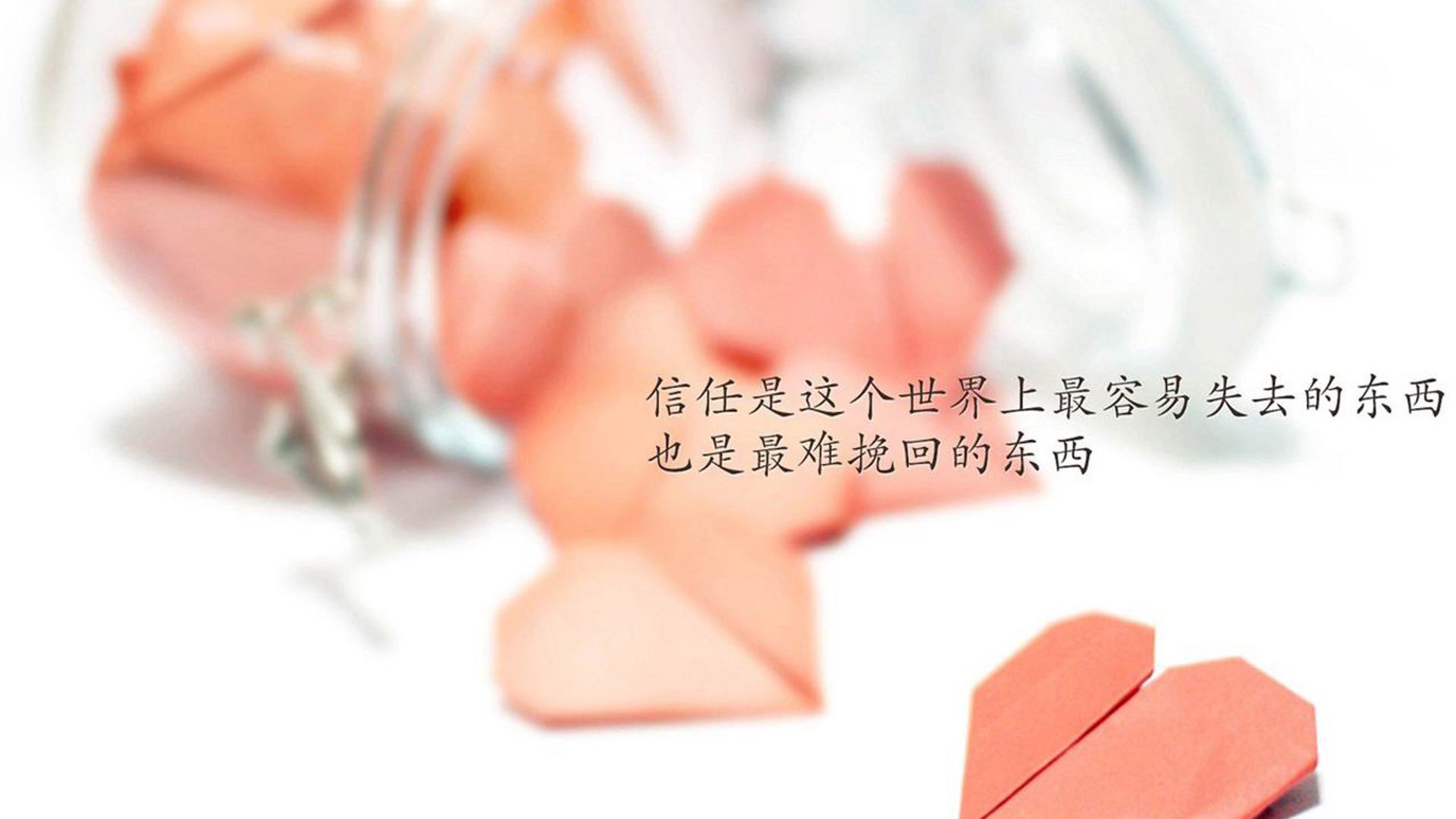 蓝白风暴中的一抹天蓝,当福登在2026世界杯E组为阿根廷破局