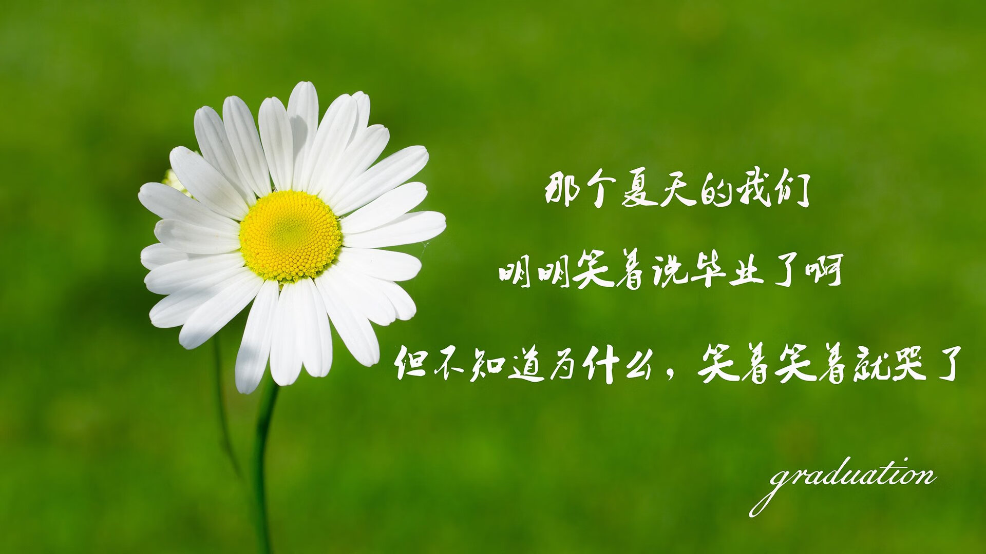 致命一击的完美注脚,2026世界杯A组,智利完胜澳大利亚,内马尔完成致命一击