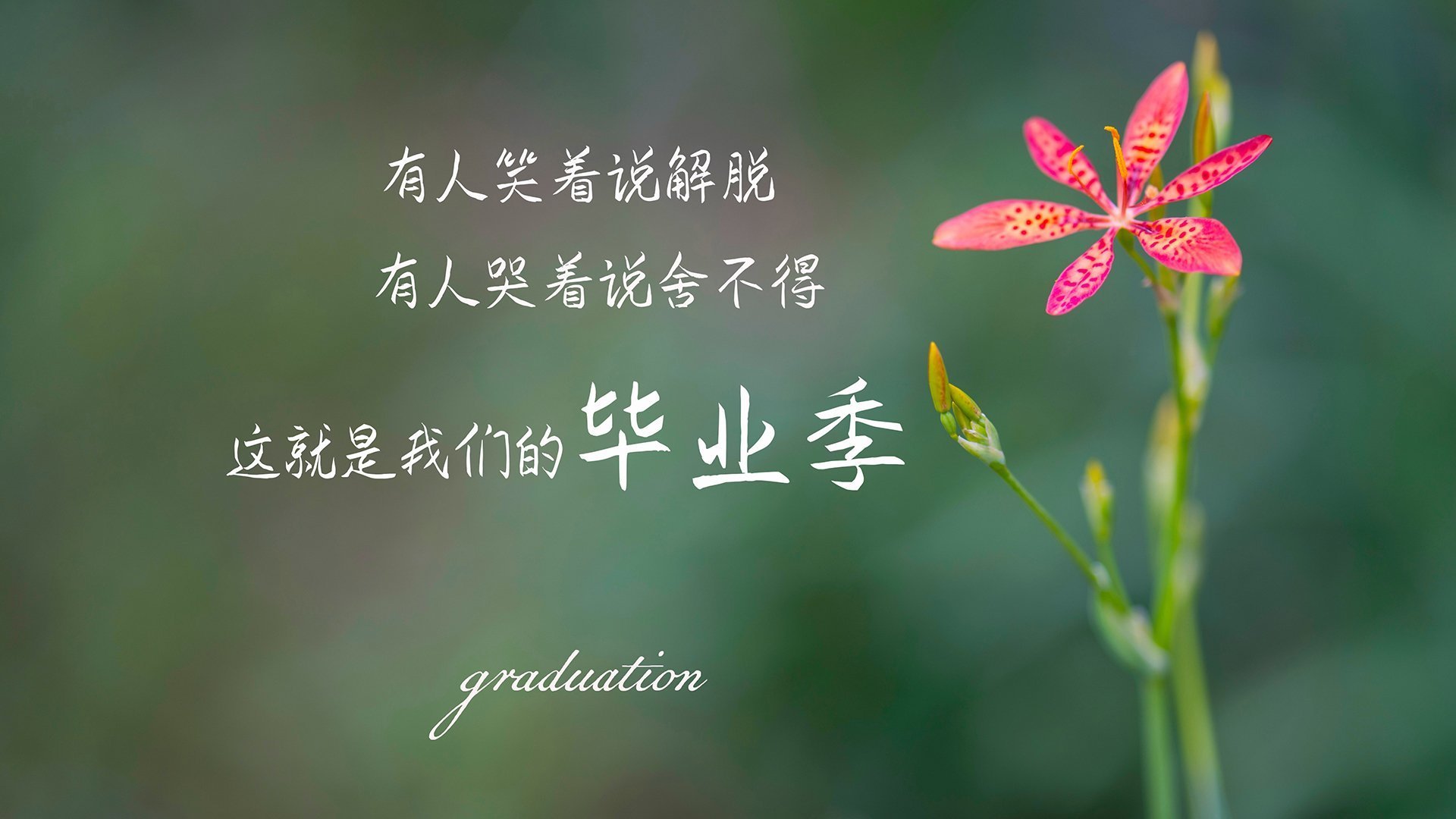 寂静的杀机，当久保建英的左脚为亚洲足球刻下永恒烙印